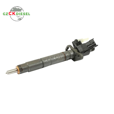 kaufen Kraftstoffinjektor 0445116012 0445116013 0445116064 0445116065 02C2C40577 für Citroen C5 C6 3.0 online manufacture